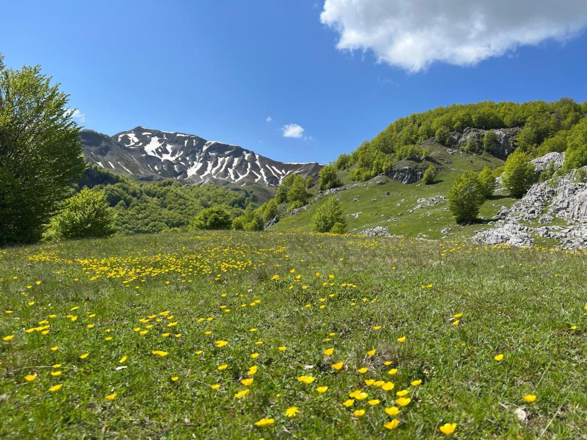 Lepushe Guesthouse Alpini מראה חיצוני תמונה