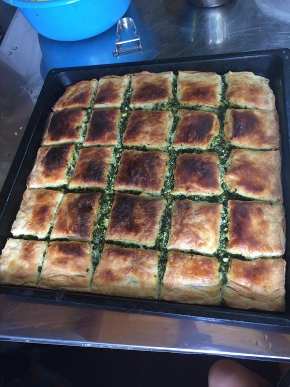 Lepushe Guesthouse Alpini מראה חיצוני תמונה