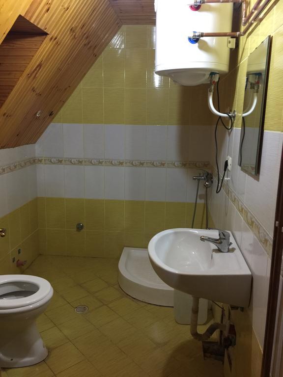 Lepushe Guesthouse Alpini מראה חיצוני תמונה