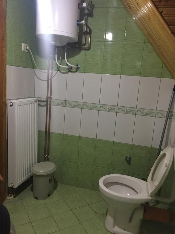 Lepushe Guesthouse Alpini מראה חיצוני תמונה